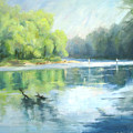 Chattahoochee River- Trout Fishing