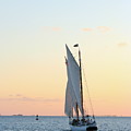 Sunset Sail II
